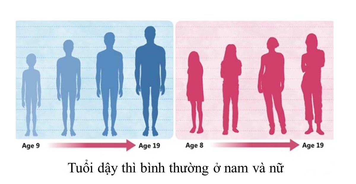 sự phát triển ở nam và nữ