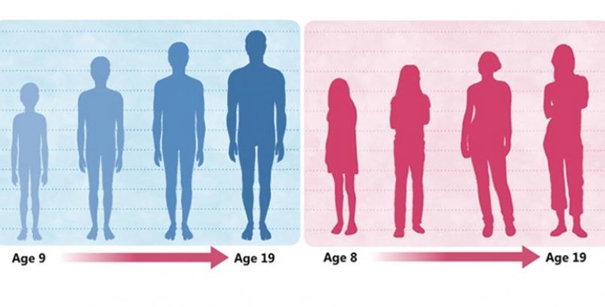 sự phát triển của bé trai và bé gái